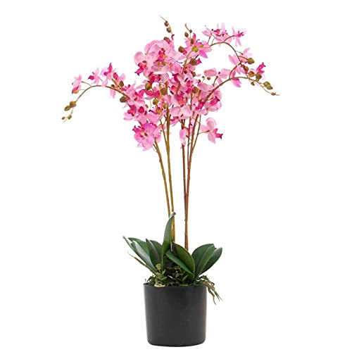 Leaf Design UK Realistic Artificial Orchid Flower Display in Pot, 60cm Pink