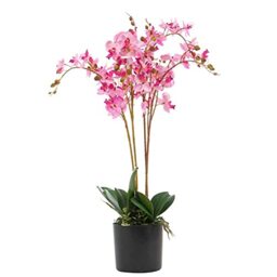 Leaf Design UK Realistic Artificial Orchid Flower Display in Pot, 60cm Pink