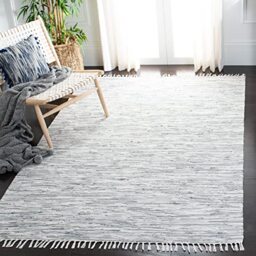 Safavieh Modern Indoor Flatweave Rectangle Area Rug, Montauk Collection, MTK753, in Silver, 122 X 183 cm for Living Room, Bedroom or Any Indoor Space
