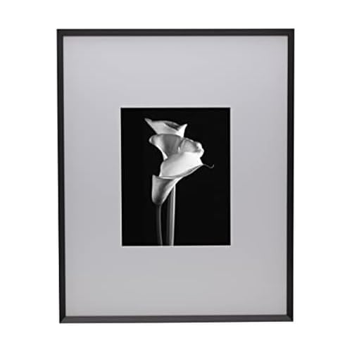 MIKASA Metal Portrait Frame, Displays 8x10 Photo with Mat, 16x20 without Mat, Black