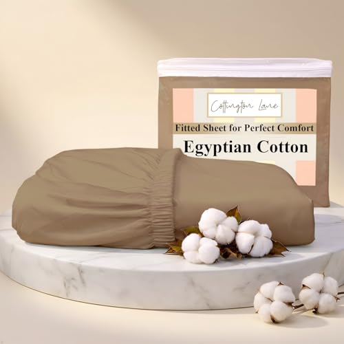 Cottington Lane Egyptian Cotton Full Fitted Sheet Only, Taupe