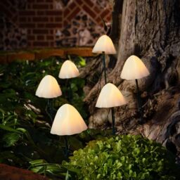 SolarCentre® Forest Outdoor Solar Powered Mushroom Lights - Set of 6 (XL 9.5cm)