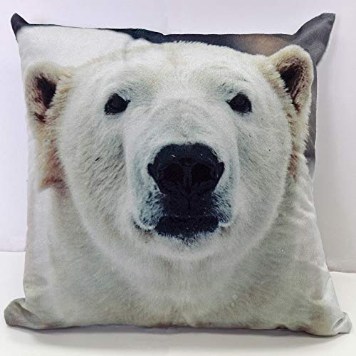 Rapport Home Polar Bear Square Cushion Cover Animals White Photographic 43 x 43cm