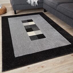 THE RUGS Ultra Soft Area Rug ??? Modern Luxury Fluffy Rug, Grey Plain Pattern Rugs for Living Room, Bedroom, Kids Room (160x230 cm, Black)