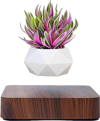 Babook Levitating Air Bonsai Pot, Rotation Flower Pot Planters, Magnetic Levitation Suspension Floating Pot, Potted Plant Home Desk Decor in Flower Pots & Planters from Home & Garden on (Dark Color)