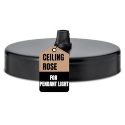 LEDSone Ceiling Rose Black 100mm Diameter Side Fitting Metal Pendant Light Base Decorative Lighting Plate Contemporary Ceiling Accessory Installation Kit UK Standard Hardware for Home Office Use