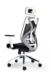 Office Hippo Ergonomic Mesh Office Chair, Swivel, Lumbar Support & Headrest