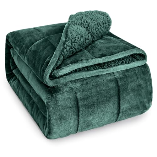 "Wemore Sherpa Fleece Weighted Blanket for Adult 20 lbs Queen 60""x80"" Green - Better Sleep, Relax Body & Mind, Dual Sided Soft Fuzzy Heavy Throw Blankets, Plush Flannel Top, Chunky Fluffy, Warm Hug"