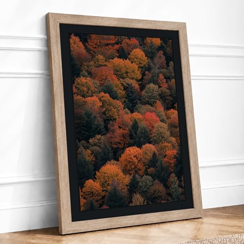 Autumn Canopy Landscape Framed Wall Art Print A2 Oak