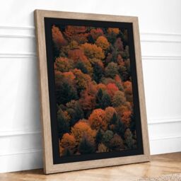 Autumn Canopy Landscape Framed Wall Art Print A2 Oak