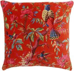 Paoletti Paradise Square Cushion Cover - Orange Colourful Bird Print Velvet Feel Cotton Fabric (50 x 50 cm, Pack of 1)