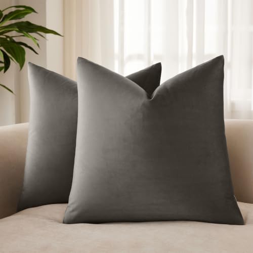 22x22 Velvet Decorative Throw Pillow Covers Set of 2 for Couch Sofa Bed,Ash - for Couch Bed Sofa Chair Living Room Bedroom,Luxury Modern Home Decor,Invisible Zipper,Cozy Soft Square Cushion Covers