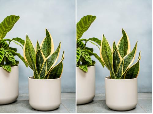 Ivyline Lisbon Planter Light Grey H11.5Cm D11.5Cm (Pack of 2)