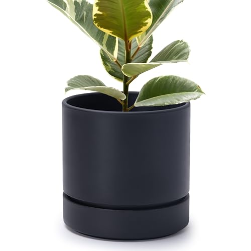 Phoenix Vine 8 Inch Planter Pot with Drainage Hole & Saucer, Deep Water Catch Tray, Straight Cylindrical Round Pot for Plants, Matte Black, Pack of 1, 23-C-T-1