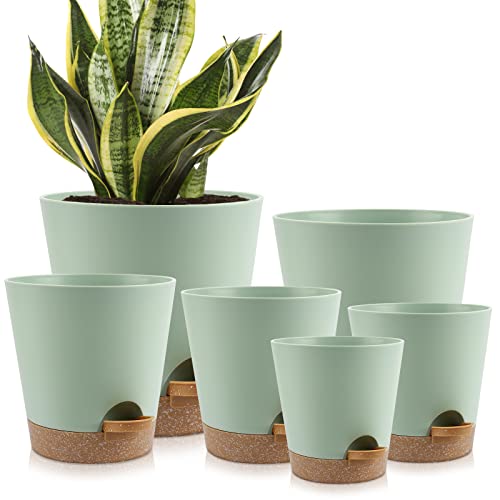 YNNICO Plant Pots Indoor 8/7/6.5/6/5.5/5 Inch Self Watering Planters with Drainage Holes and Saucers, Plastic Flower Pots, Nursery Planting Pot for Indoor Out Door Plants