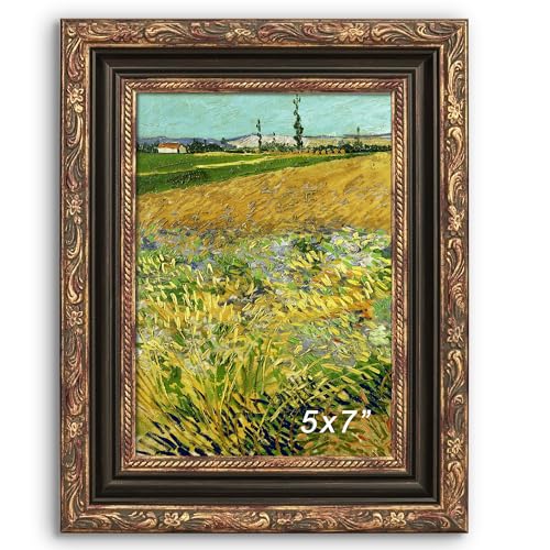 GiftMust 5x7 Picture Frame, Ornate Embossing 5 x 7 Frame with Tempered Real Glass, Tabletop or Wall Mounting Display for Art Prints or Pictures, Bronze and Antique Gold, 1 Pack