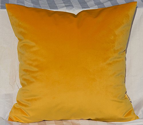 TangDepot Super Soft Velvet Throw Pillow Cover 22x22 Gold - Luxury velvet pillow cover, hidden zip, washable, fits any insert, indoor/outdoor, many colors, instant refresh.