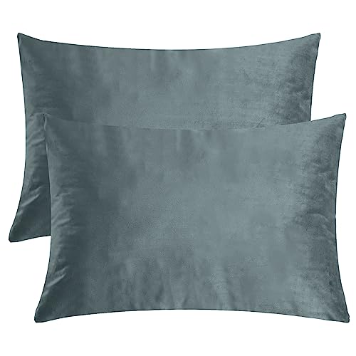 StangH Stone Blue Velvet Pillowcase Bed Pillow Covers, Set of 2 - 300GSM Soft Velvet, Modern Home Decoration, Hidden Zipper, Cozy Feeling for Bedroom, 20 x 30