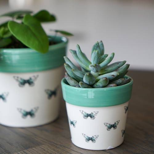 Ivyline Butterfly Cacti Planter - Waterproof, Durable & Decorative - Contemporary Stylish Round Indoor Ceramic Houseplant Succulent Pot - H7cm x D7cm
