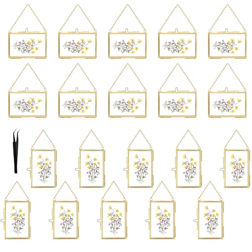 20 Pcs Double Glass Frame for Pressed Flowers,Floating Hanging Photo Christmas Ornaments Frame Brass Frames with Chain for Wall Display Gallery Artwork,Clear Vertical Horizontal Display for Botanical