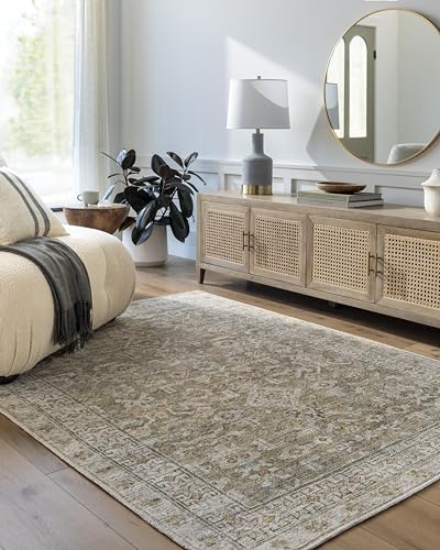 Livabliss x Becki Owens Darling Machine Washable Rug - Vintage Area Rugs Living Room, Large Rug 160x213 cm - Traditional Boho Style, Dining Room, Kitchen, Outdoor, Hallway - Brown, Grey