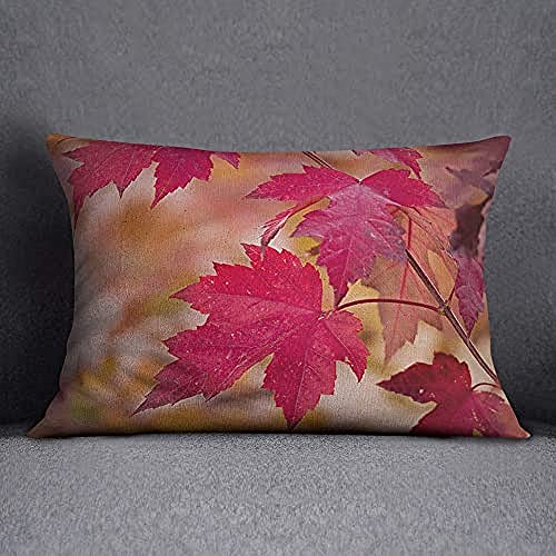 Bonamaison Decorative Cushion Cover, Throw Pillow Case, Size: 35X50 Cm - Designed and Manufactured in Turkey