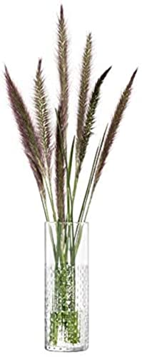 LSA International Wicker Vase H20cm Clear- 1 Unit - Mouthblown & Handmade Glass - WR10