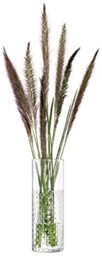 LSA International Wicker Vase H20cm Clear- 1 Unit - Mouthblown & Handmade Glass - WR10