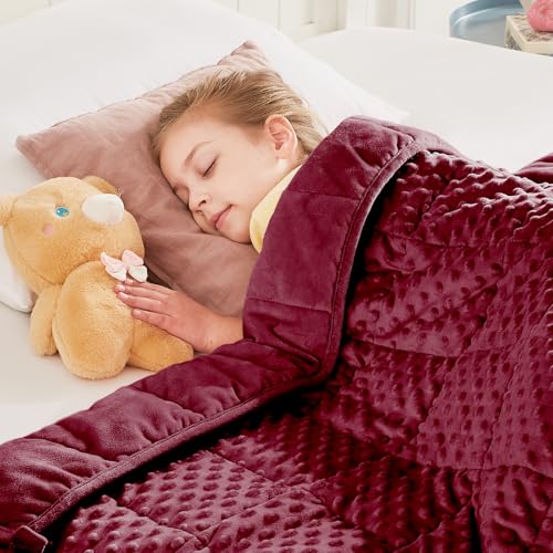 "HOSUKKO Weighted Blanket - 3 lbs Burgundy Minky Heavy Blanket, 20""x30"", Small Size Breathable Lap Blanket"
