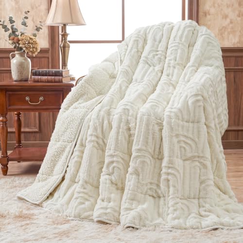 Wemore Fleece Weighted Blanket Queen Size 20lbs, Soft Sherpa Heavy Blankets - Dual-Sided Fluffy Sherpa Fleece, for Better Sleep, Relaxation and Calm, Washable, Arch Jacquard, Gift for Women and Men