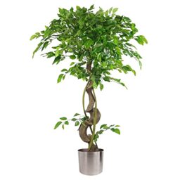 Leaf Realistic Artificial Japanese Fruticosa Ficus Tree, Twisted Silver, 120cm (4ft)
