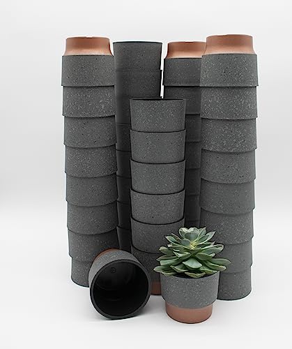 "The HC Companies Succulent Planter, Faux Concrete Copper, 3"" (Pack of 40)"