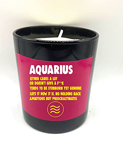Capricorn Wanky Candle Star Sign Astrology Zodiac Birthday Candle WCBJ - Capricorn