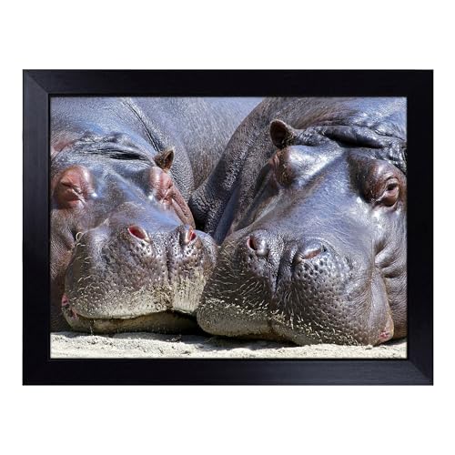 Lap Tray with Bean Bag Cushion, Two Hippos Hippopotamus - Handmade in the UK, Raised Wooden Edge, Padded Cushion, Heat-Resistant Wipe-Clean Surface, for Meals, Laptops and Crafts