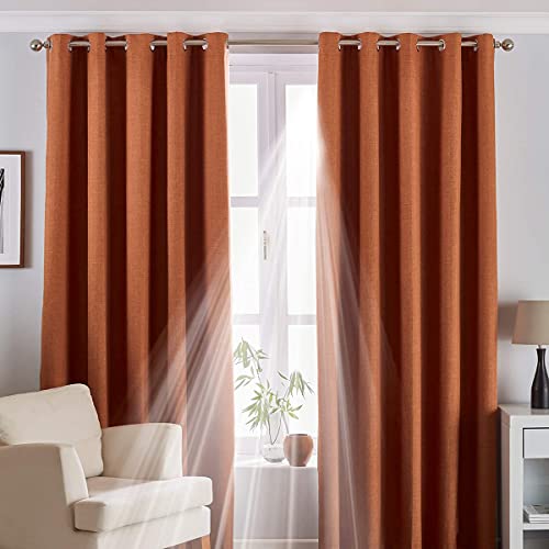 "Riva Home Eclipse Blackout Eyelet Curtains, Polyester, Duck Egg Blue, 66"" x 72"" (168 x 183cm)"