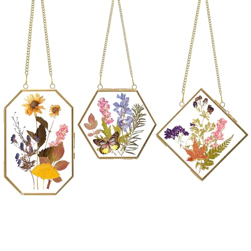 Apipi 3 Pcs Glass Frame for Pressed Flowers- Golden Hanging Glass Picture Frames with Chain- Hanging Brass Glass Frame- Pressed Flowers Glass Frames for Wall Decor Plant Specimen Photo Display