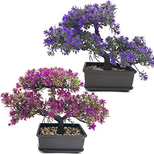 Fycooler Artificial Bonsai Tree-Fake Plant in Pot Artificial Plants,Faux Bonsai Japanese Pine Bonsai Artificial Plants for Home Decor Indoor,Office/Windowsill/Yard,Desktop Display, Zen Garden D??cor