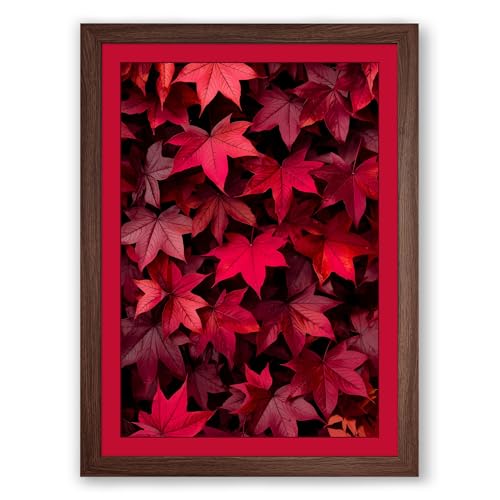 Crimson Canopy Botanical Framed Wall Art Print A3 (42×29.7cm) Walnut, Wall Decor for Living Room, Bedroom, Office & Home, Ready to Hang, Art Gift