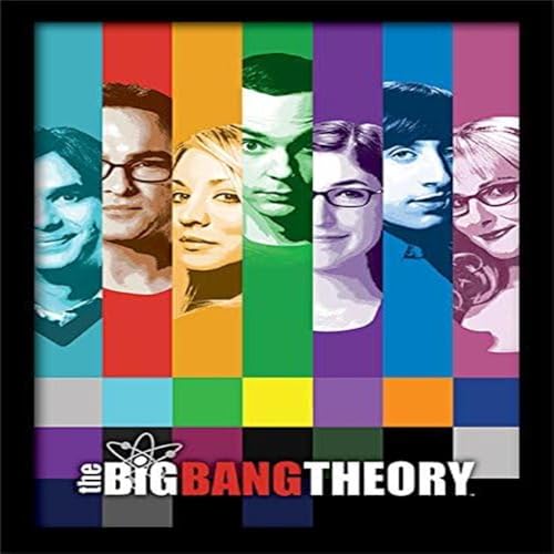 The Big Bang Theory 30 x 40 cm Signals Framed Print