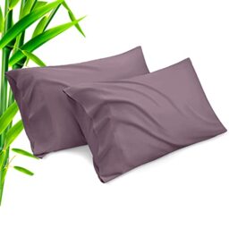 Pillow Cases King Size 2 Pack, Bamboo Rayon Cooling Pillowcases with Envelope Closure, Cool Breathable Pillow Case for Hot Sleepers & Night Sweats, 20x40 inches,Greish Purple
