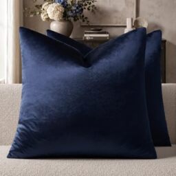GIGIZAZA Decorative Couch Cushion Cover Set of 2 Sofa Pillows 18x18 Inch Blue Square Farmhouse Velvet Throw Pillows