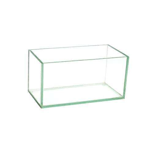 "Royal Imports Flower Glass Vase Decorative Centerpiece for Home or Wedding Oblong Rectangle Shape (8"", Clear)"