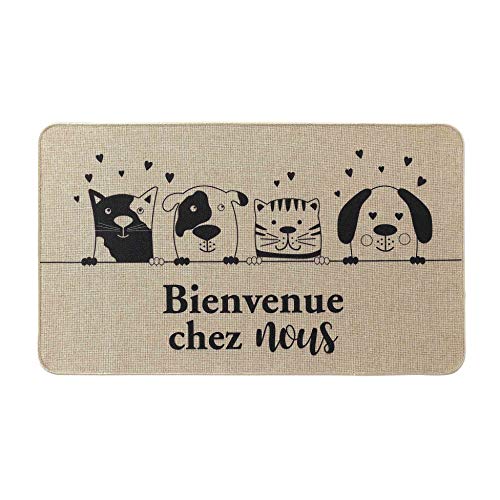 Douceur d'Intérieur Zamiis Rectangular Entrance Mat, Multi-Colour, 45 x 75 cm