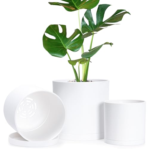 D'vine Dev 4.5 Inch 5.5 Inch 6.5 Inch, Set of 3 Plastic Planter Pots for Plants with Drainage Hole and Seamless Saucers, White Color, Small Plus, 74-E-SP-1