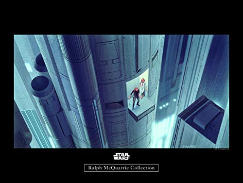 Komar Star Wars Classic RMQ Escape Plan Wall Picture for Children's Room/Teenager's Room Decoration without Frame Available in 3 Sizes, Colourful, WB139-40x30