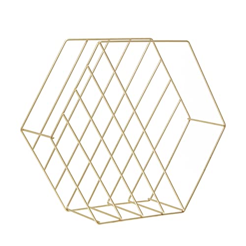 Premier Housewares Functional Sleek Hexagonal Basket - Stylish Wireframe Basket For Kitchen Contemporary Basket - Iron Constructed Minimalist Basket For Storage