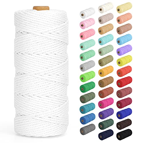 Macrame Cord 2mm x 220Yards (656Feet), Natural Cotton Macrame Rope - 2 Strands Twisted Macrame Cotton Cord for Wall Hanging, Plant Hangers, Crafts, Gift Wrapping and Wedding Decorations, White