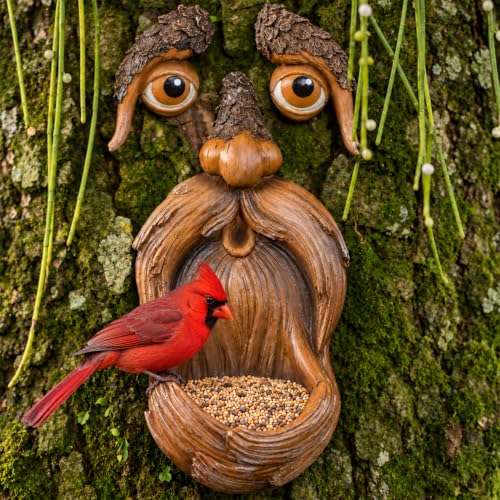 Tree Face, Tree Faces Decor Outdoor, Tree Art, Tree Decorations Outdoor, Tree Hugger, Unique Bird Feeders for Outdoors and Indoors ??? Old Man Tree Art