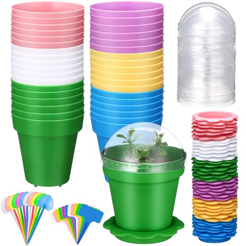 LOYIM 36 Pcs Cupcake Plant Nursery Pots with Humidity Dome Colorful Small Flower Pots Plastic Planting Containers Cups with Saucers and Shovel for Indoor Outdoor Plant Succulent Display