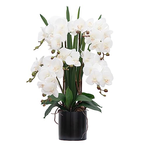 CXGS Artificial Orchid Flower Plants Real Touch Faux Orchids in Ceramic Vase 20.9'' White Phalaenopsis Orchid Fake Flower Arrangement Home Indoor Decor